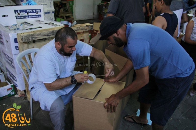 tajhee jdfhdk (8).jpg